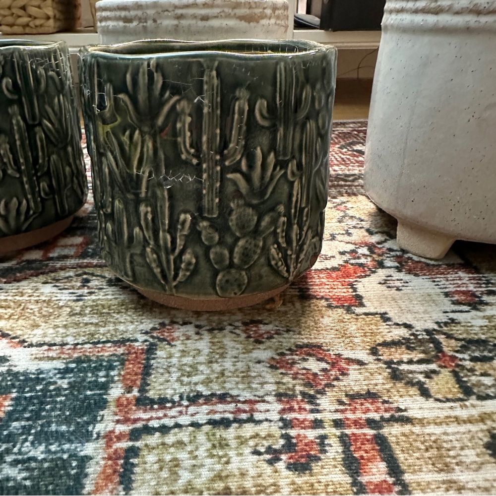 NEW Cactus Design 5 x 5 planter pot / cache pot